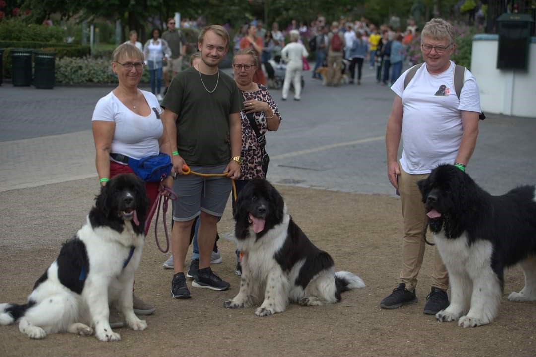 Hundens dag i Tivoli 2024